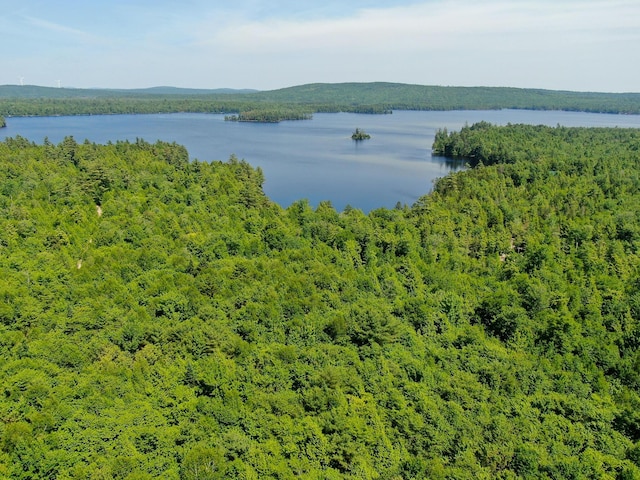 21 Spruce Point Rd, Lowell, ME 04493