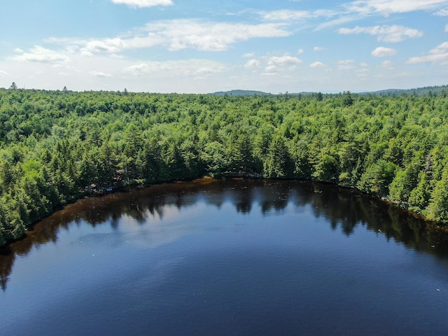 21 Spruce Point Rd, Lowell, ME 04493