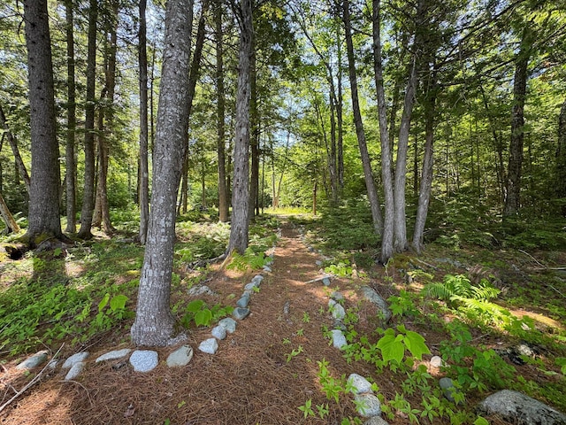 21 Spruce Point Rd, Lowell, ME 04493