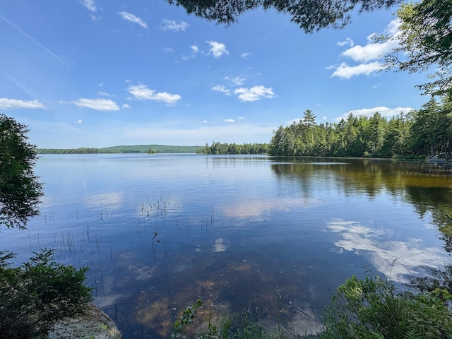 21 Spruce Point Rd, Lowell, ME 04493