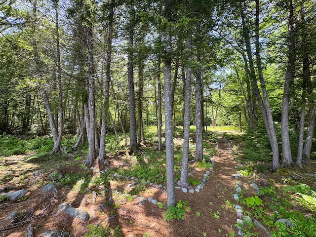 21 Spruce Point Rd, Lowell, ME 04493