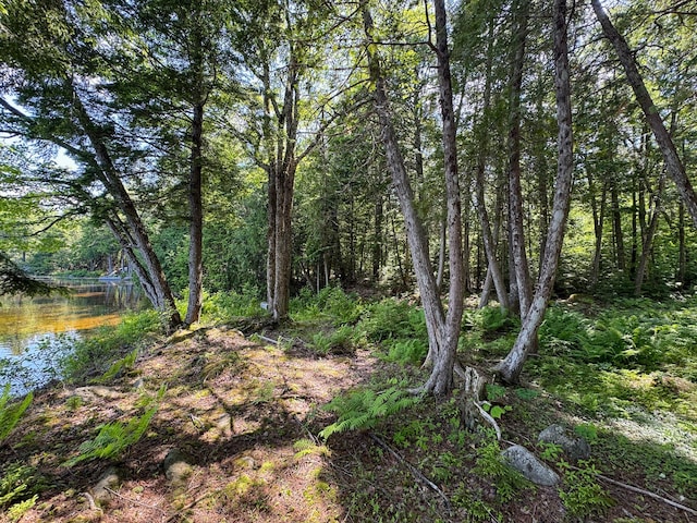 21 Spruce Point Rd, Lowell, ME 04493