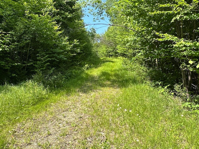 21 Spruce Point Rd, Lowell, ME 04493