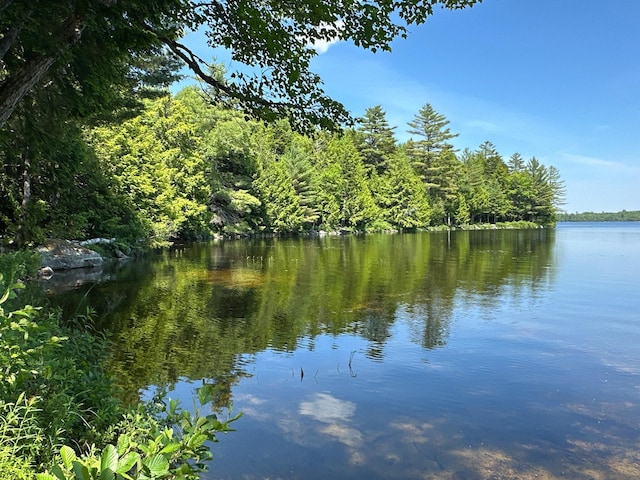 21 Spruce Point Rd, Lowell, ME 04493