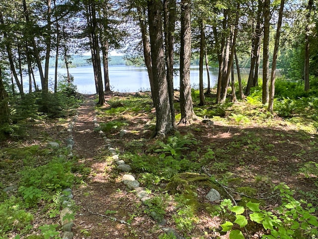 21 Spruce Point Rd, Lowell, ME 04493