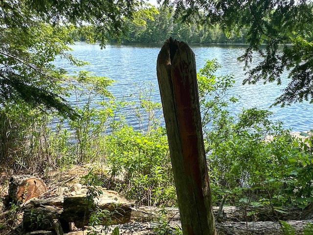 21 Spruce Point Rd, Lowell, ME 04493