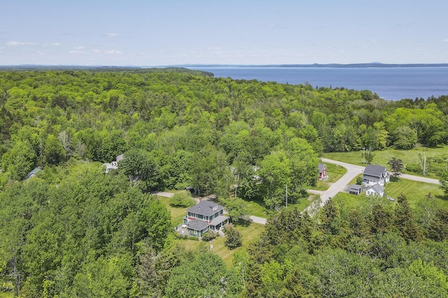 115 Babbidge Rd, Islesboro, ME 04848 - bird's eye view of a forest and a nearby body of water