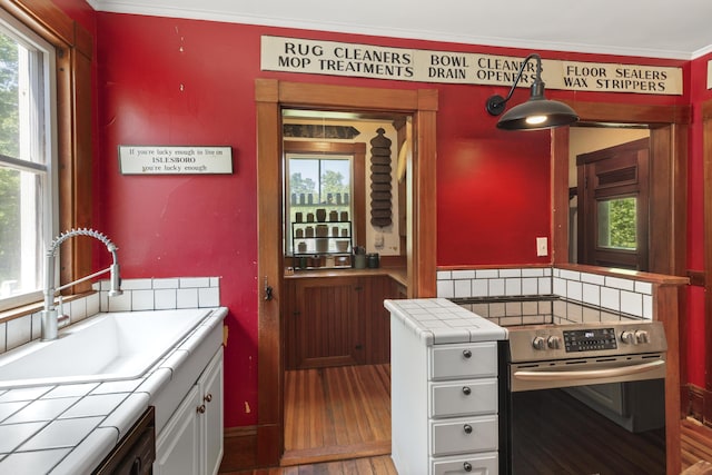115 Babbidge Rd, Islesboro, ME 04848 - kitchen with stainless steel electric stove, tile counters, plenty of natural light, crown molding, and dishwasher