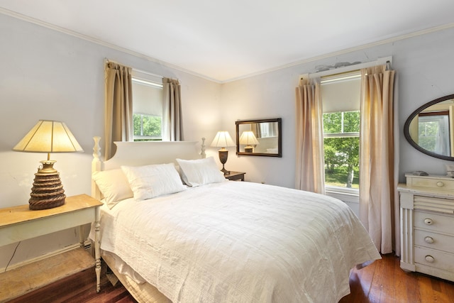 115 Babbidge Rd, Islesboro, ME 04848 - bedroom featuring ornamental molding, multiple windows, and dark wood-style floors