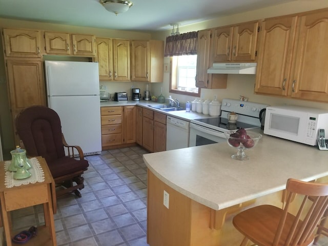 14 Reach Rd, Presque Isle, ME 04769 - kitchen featuring white appliances, under cabinet range hood, a peninsula, and light countertops