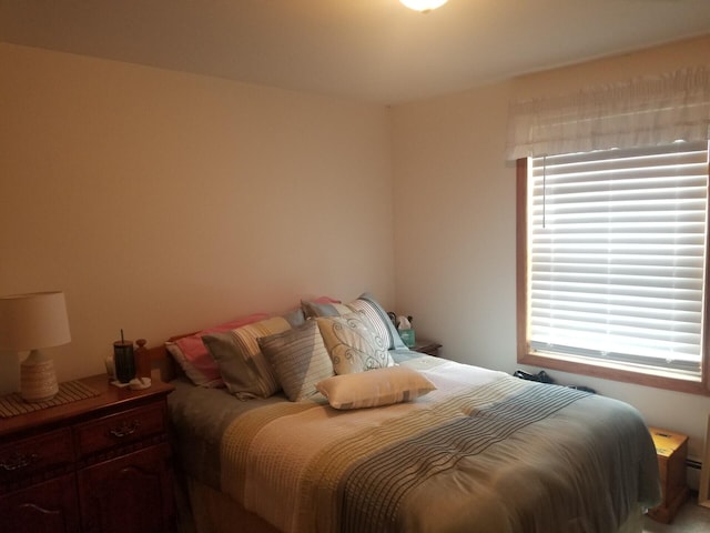 14 Reach Rd, Presque Isle, ME 04769 - bedroom with multiple windows