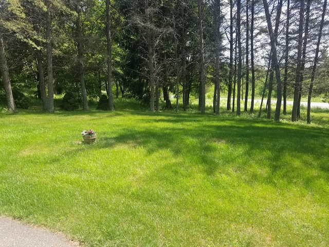 14 Reach Rd, Presque Isle, ME 04769 - view of grassy yard
