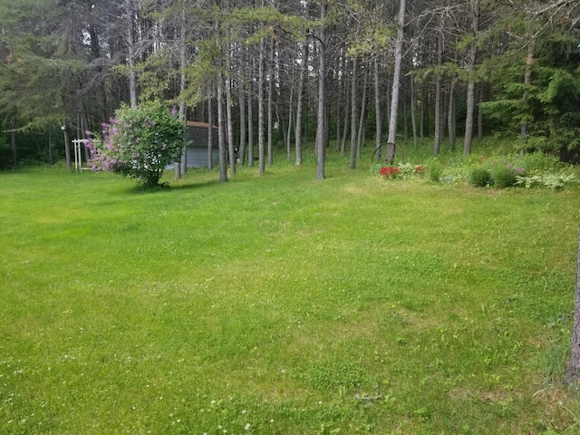 14 Reach Rd, Presque Isle, ME 04769 - view of green lawn