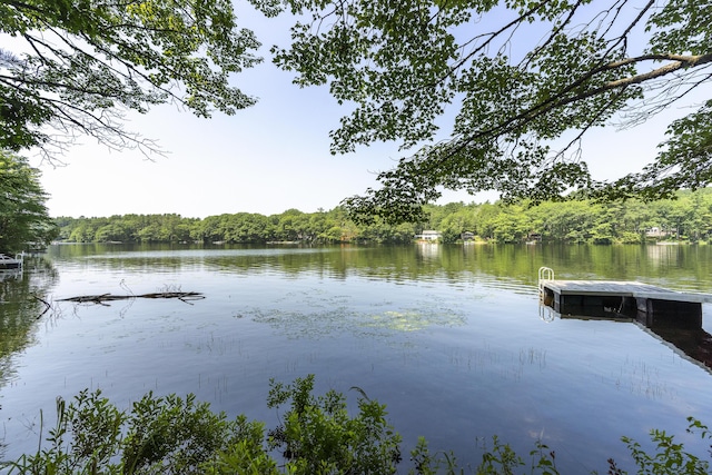 433 Fogler Rd, Bremen, ME 04551 - photo 84