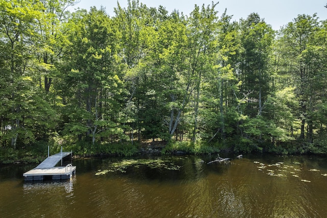 433 Fogler Rd, Bremen, ME 04551 - photo 87