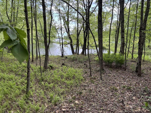 LotA River Road, Leeds, ME 04263