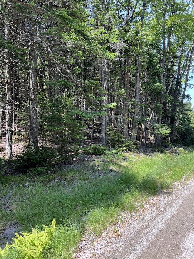 45 Goose Pond Rd, Swans Island, ME 04685