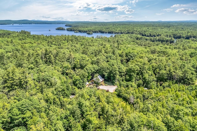 221 Gates Rd, Jefferson, ME 04348 - aerial view of a heavily wooded area and a nearby body of water