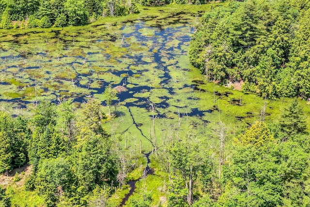 221 Gates Rd, Jefferson, ME 04348 - bird's eye view