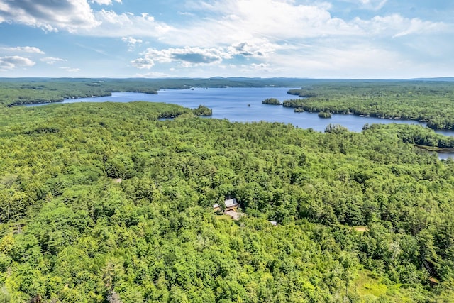 221 Gates Rd, Jefferson, ME 04348 - aerial view of a heavily wooded area and a large body of water