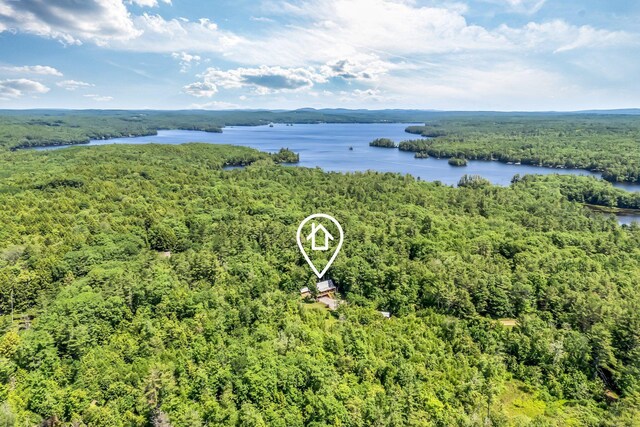 221 Gates Rd, Jefferson, ME 04348 - drone / aerial view of a forest and a large body of water