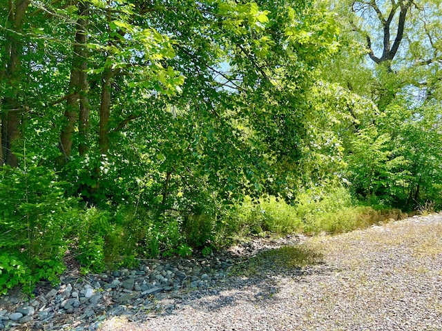 89 Clark Point Rd, Southwest Harbor, ME 04679 - photo 62
