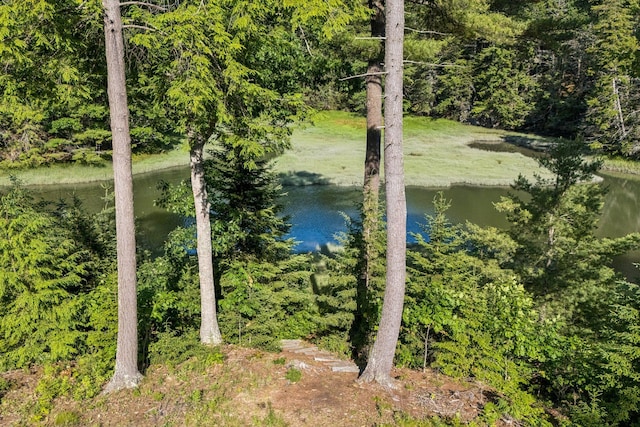 29 Crows Nest Dr, Freeport, ME 04032 - photo 3