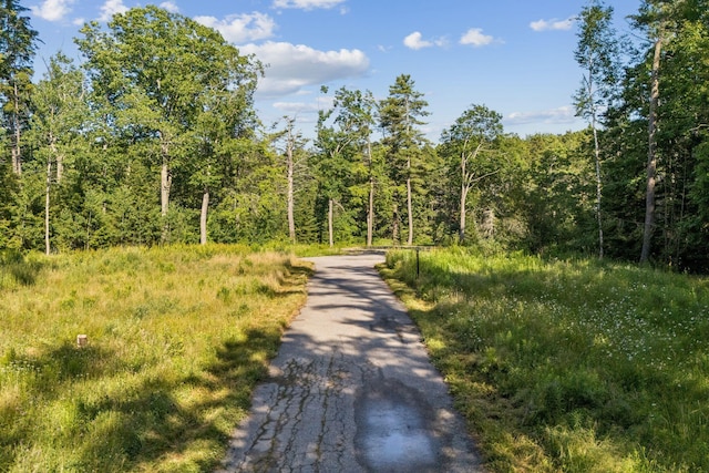 29 Crows Nest Dr, Freeport, ME 04032 - photo 8