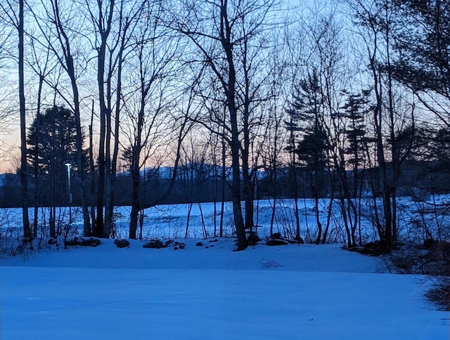 428 Webbs Mills Rd, Raymond, ME 04071 - view of yard layered in snow