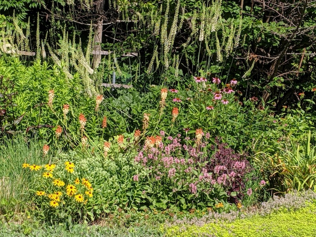 428 Webbs Mills Rd, Raymond, ME 04071 - view of nature