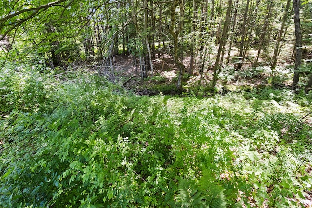 30 Pine St, Freeport, ME 04032 - photo 53