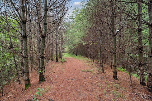 15 Graystone Rd, Gray, ME 04039 - photo 45
