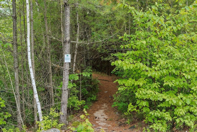 15 Graystone Rd, Gray, ME 04039 - photo 44