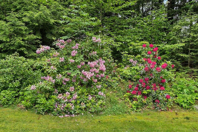 15 Graystone Rd, Gray, ME 04039 - photo 46