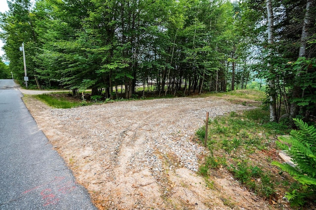 LOT62 Bird Hill Rd, Bethel, ME 04219 - photo 2