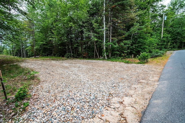 LOT62 Bird Hill Rd, Bethel, ME 04219 - photo 3