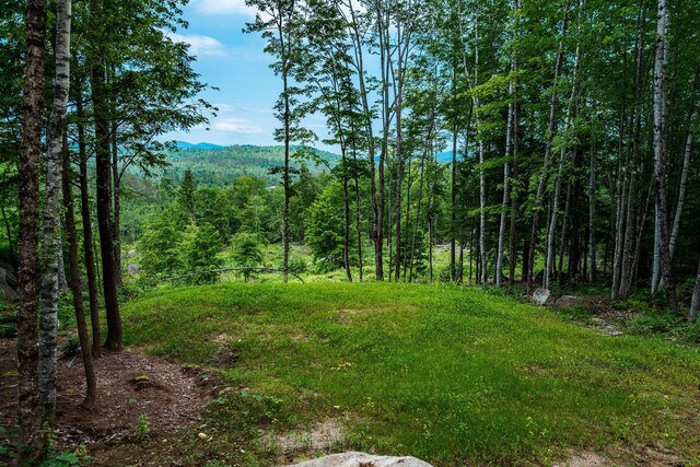 LOT62 Bird Hill Rd, Bethel, ME 04219 - photo 6