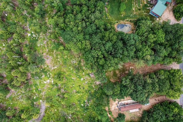 LOT62 Bird Hill Rd, Bethel, ME 04219 - photo 8