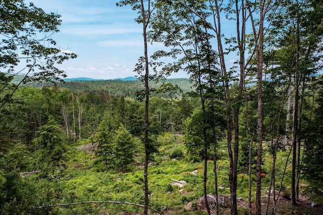 LOT62 Bird Hill Rd, Bethel, ME 04219 - photo 9