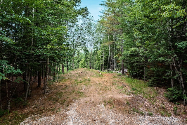 LOT62 Bird Hill Rd, Bethel, ME 04219 - photo 10