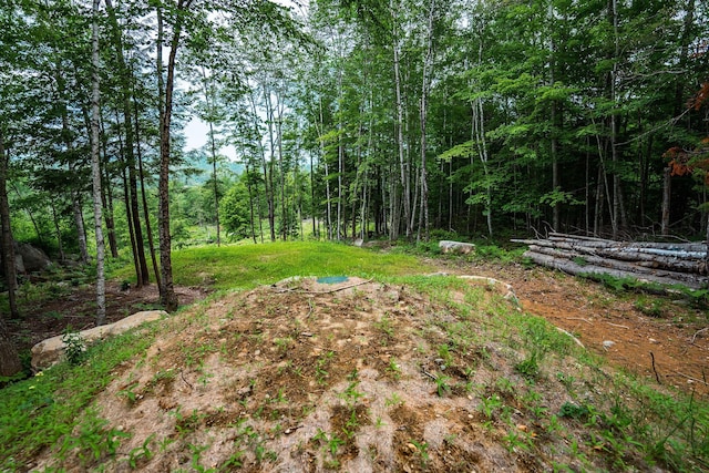 LOT62 Bird Hill Rd, Bethel, ME 04219 - photo 11