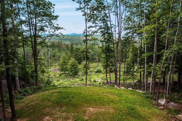 LOT62 Bird Hill Rd, Bethel, ME 04219 - photo 13