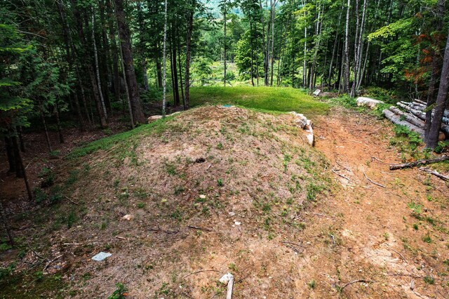 LOT62 Bird Hill Rd, Bethel, ME 04219 - photo 14