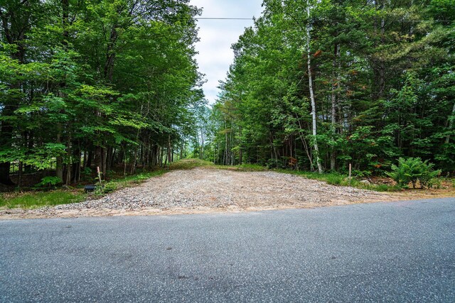 LOT62 Bird Hill Rd, Bethel, ME 04219 - photo 4