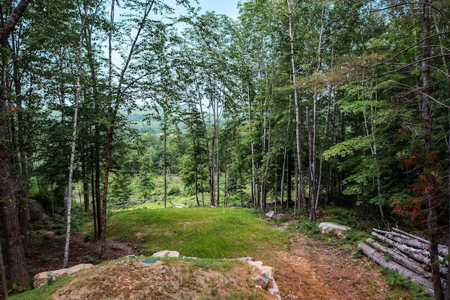 LOT62 Bird Hill Rd, Bethel, ME 04219 - photo 17