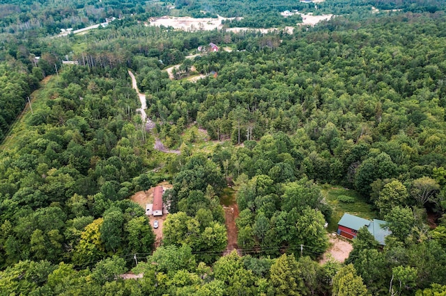 LOT62 Bird Hill Rd, Bethel, ME 04219 - photo 19