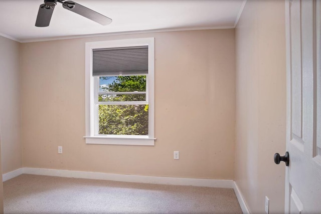 42 Winn Rd, Falmouth, ME 04105 - empty room with ornamental molding, carpet, and ceiling fan