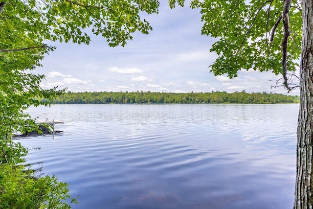 22 Woodpecker Ln, Embden, ME 04958 - water view featuring a forest