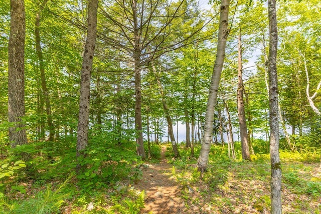 22 Woodpecker Ln, Embden, ME 04958 - view of nature
