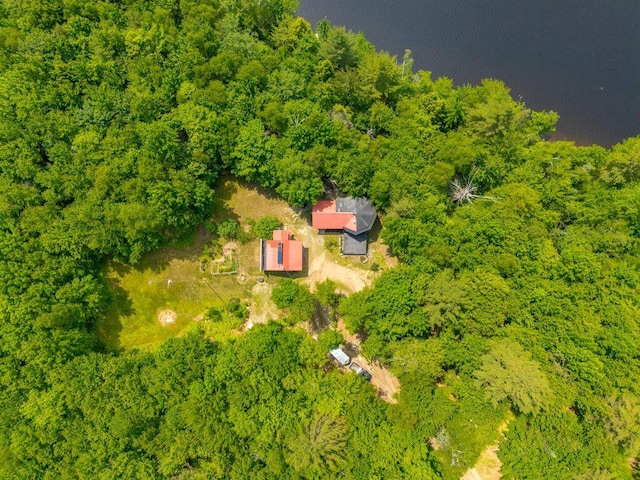 22 Woodpecker Ln, Embden, ME 04958 - view of subject property featuring a forest